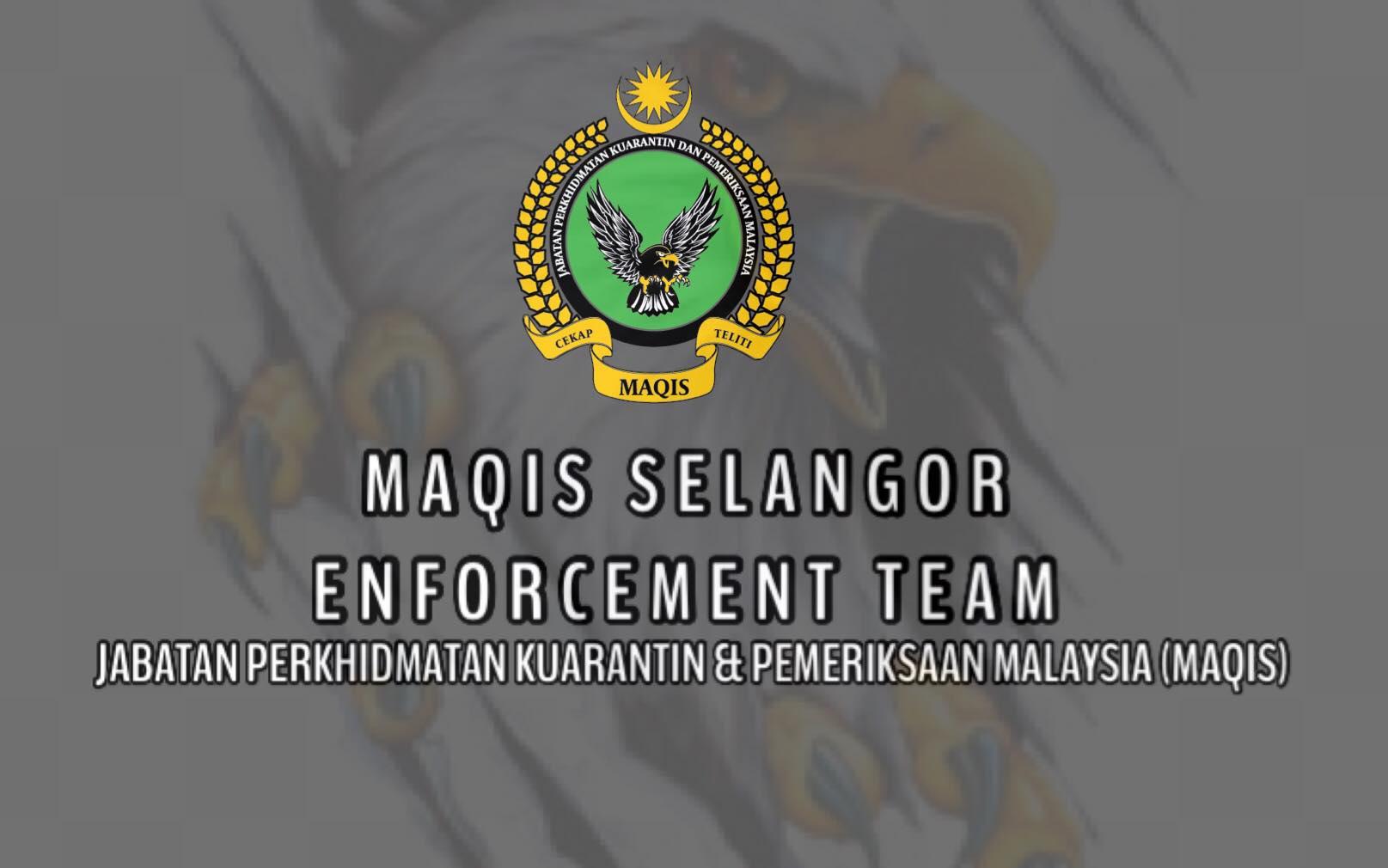 Maqis selangor