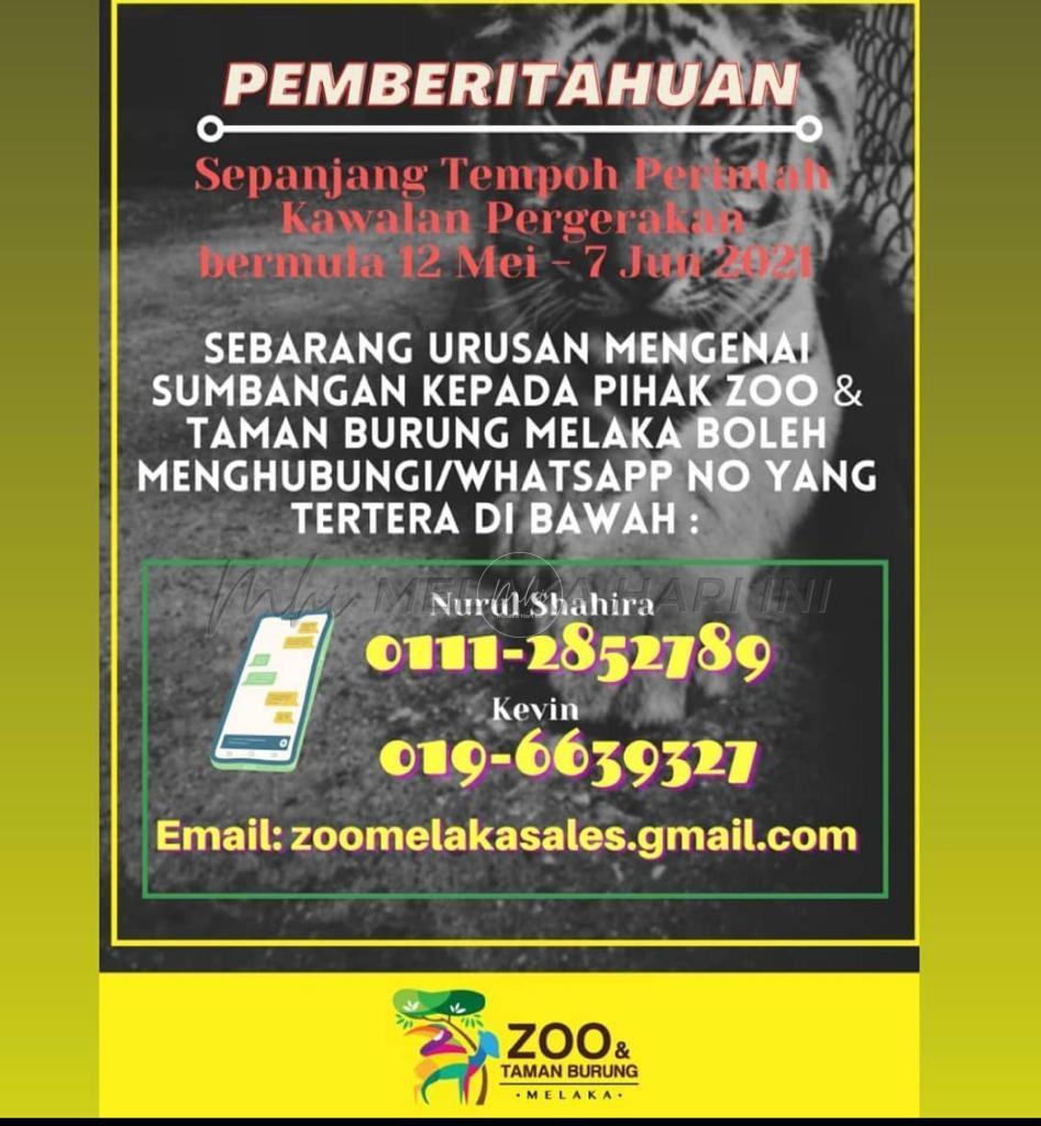 Whatsapp image 2021 06 08 at 15.16.18