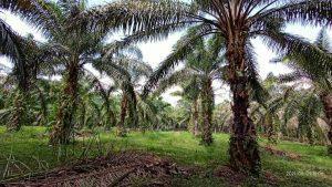 Whatsapp image 2021 06 09 at 20.40.05