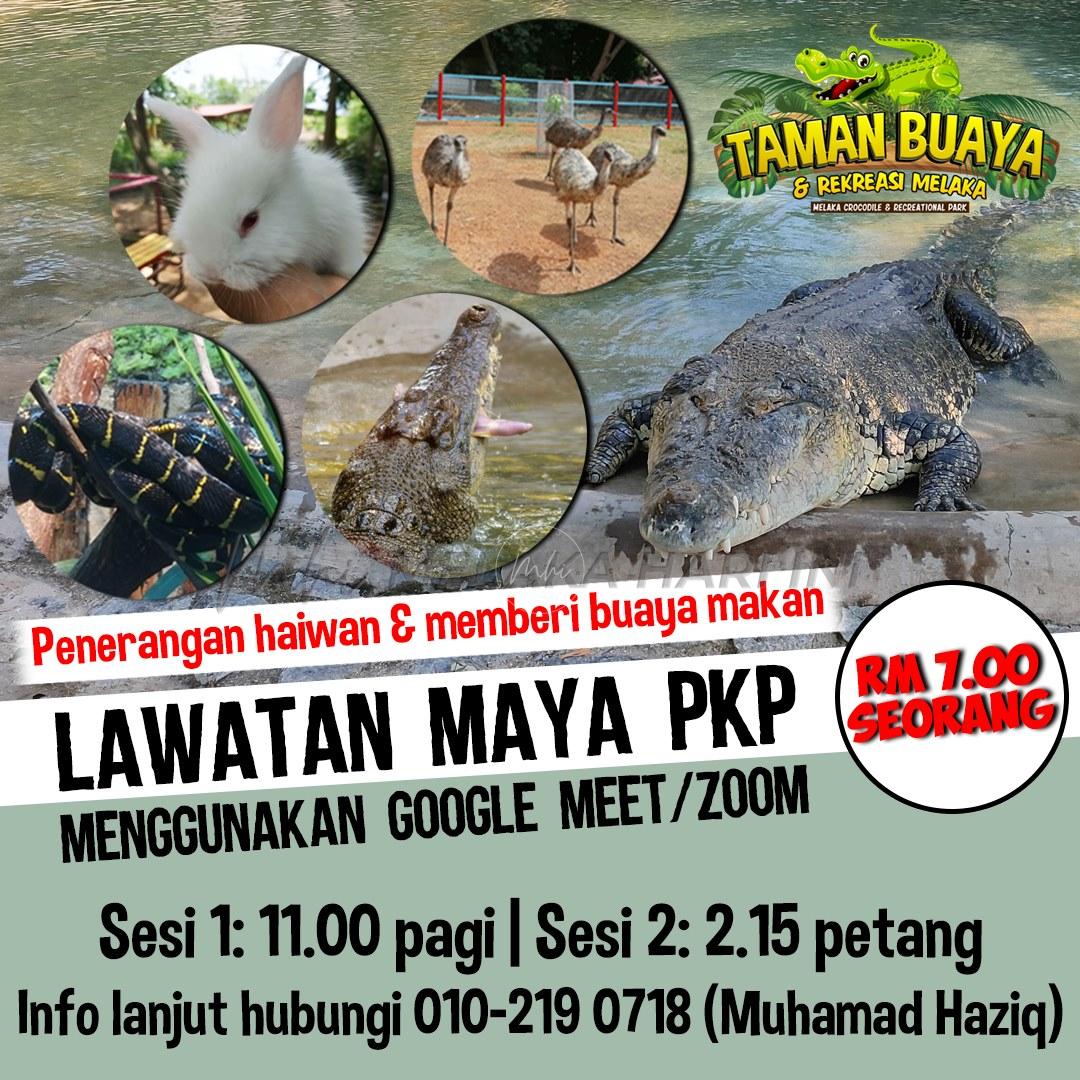 Whatsapp image 2021 06 16 at 15.56.36