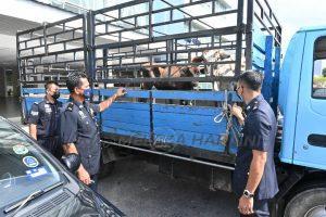 Whatsapp image 2021 06 23 at 17.00.05