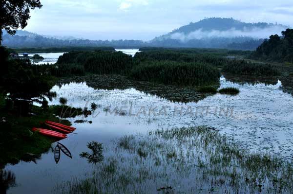 SAM gesa kerajaan Pahang hentikan aktiviti perlombongan di Tasik Chini