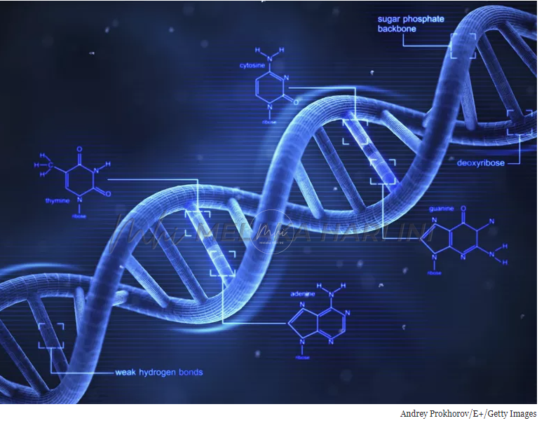 PDRM ulangi cadangan sampel DNA bayi diambil disimpan dalam bank data