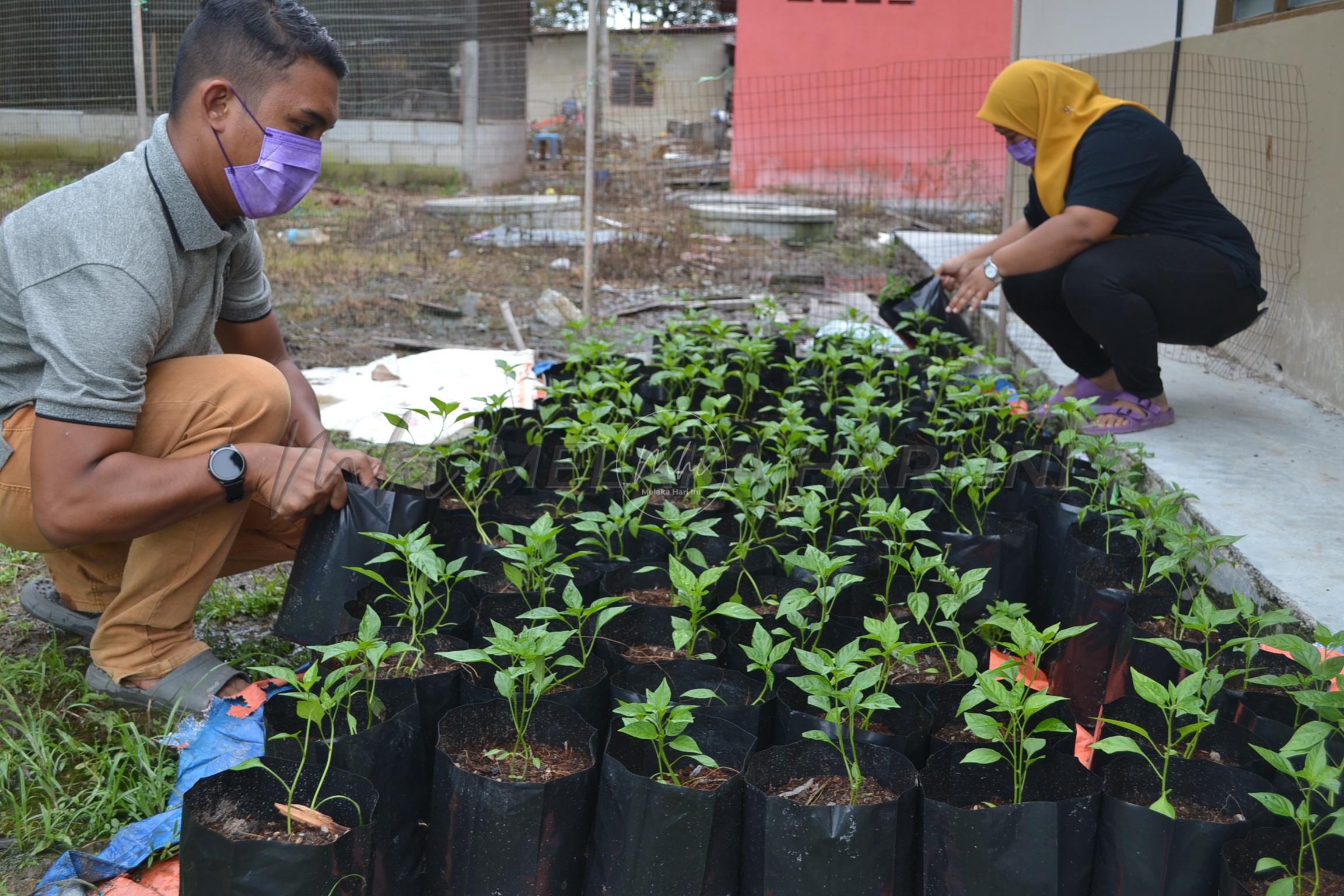 Cacat bukan penghalang bertani