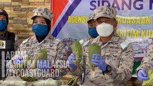 213016373 4120984914660059 5388890055759385080 n