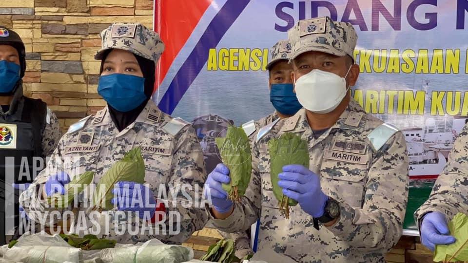 213016373 4120984914660059 5388890055759385080 n