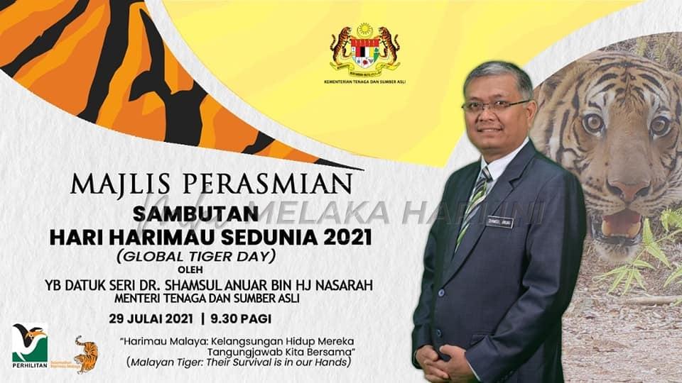 218334118 4305137242908121 4534406231355853689 n