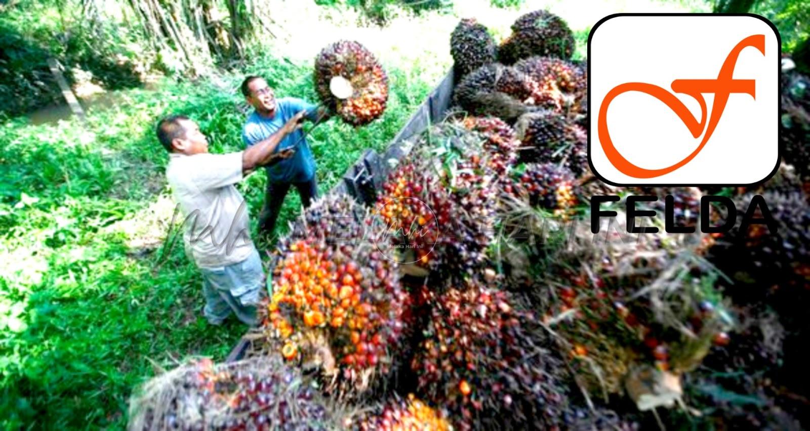 Inisiatif Ladang Lestari 2523 tingkat pendapatan peneroka – Felda