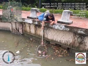 Whatsapp image 2021 07 02 at 13.47.29 (1)