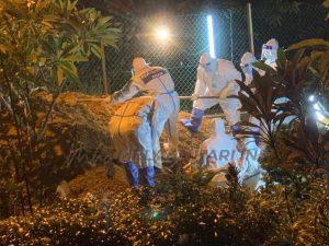 Whatsapp image 2021 07 09 at 13.38.43