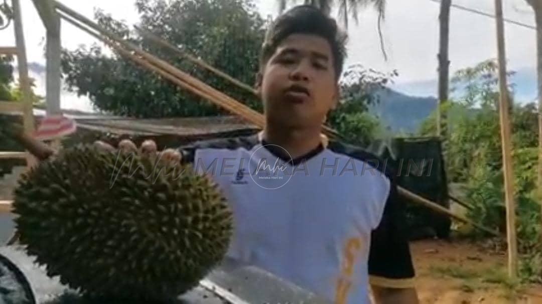 Lelaki ‘jual’ durian kampung RM500 sebiji