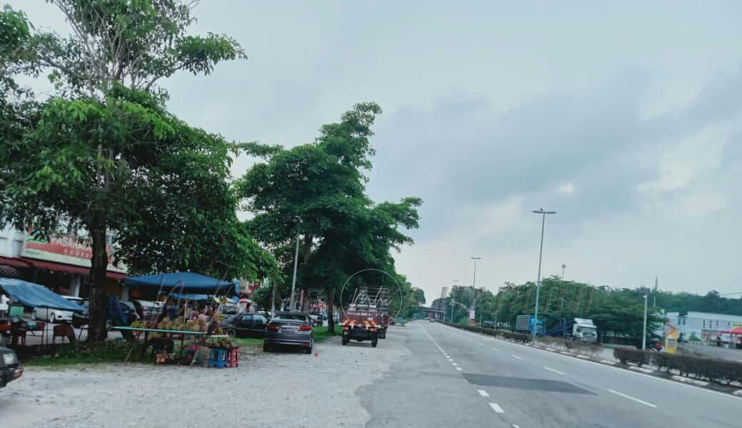 Tiada lambakan durian Jelebu di Melaka