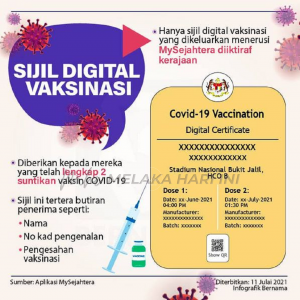 201167766 5834857786587350 7203570065777842156 n