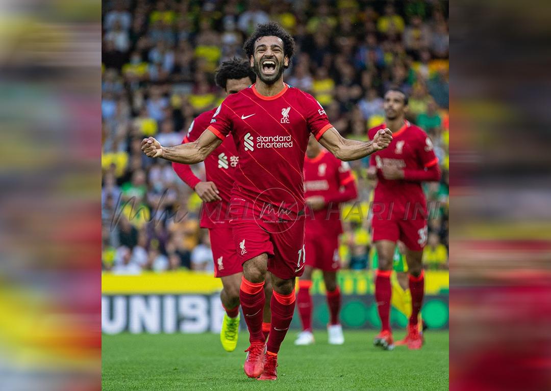 236245229 401902401294723 3554481530565876301 n