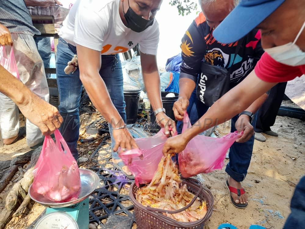 Nelayan ceria bawa pulang 15 kilogram udang gred A