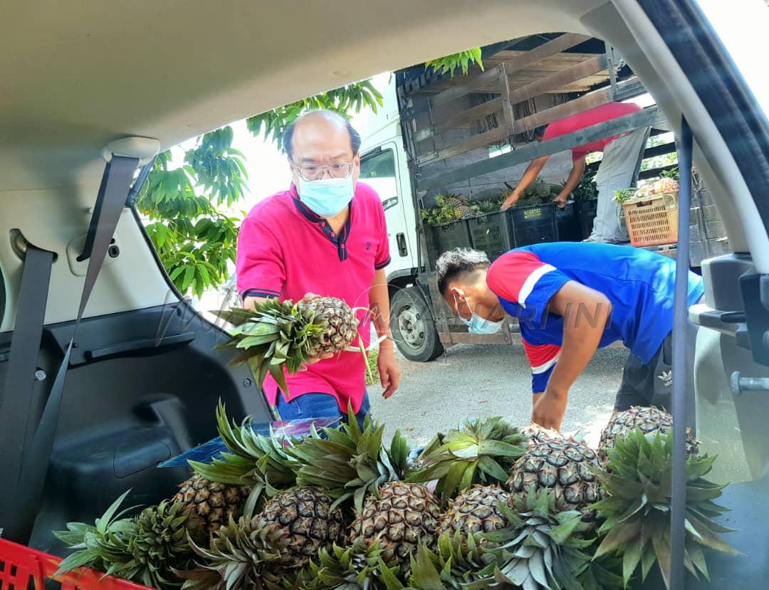 COVID-19: Bekas pemuzik orkestra jual buah