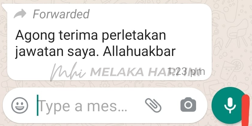 ‘Agong terima peletakan jawatan saya’