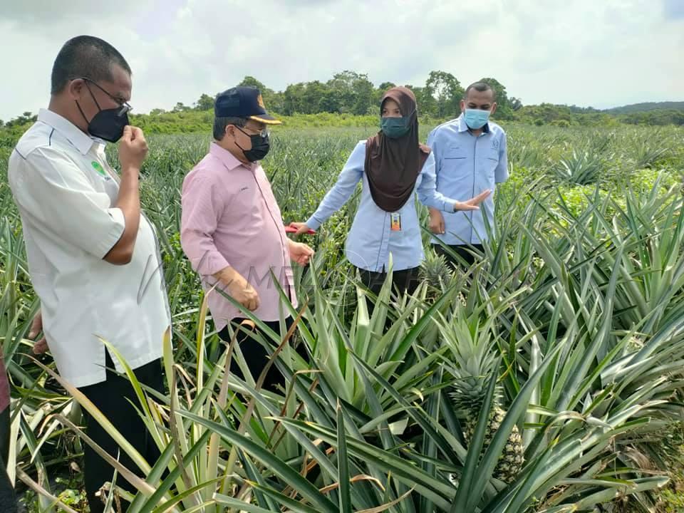 Bantuan kewangan kepada pemain industri pertanian akan diumum – Nanta