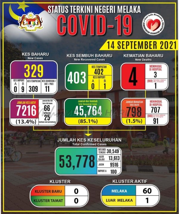 241215268 4398470326887806 2141428373083063422 n