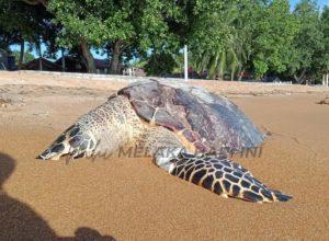 Whatsapp image 2021 09 01 at 18.23.43