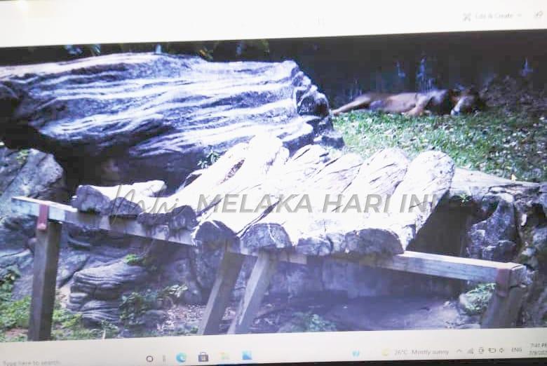 Whatsapp image 2021 09 15 at 22.24.22