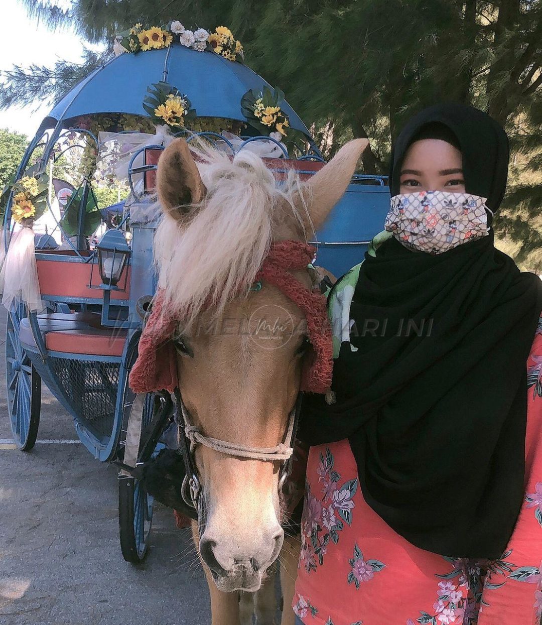 Kereta Kuda Pantai Klebang kembali ‘bernafas’