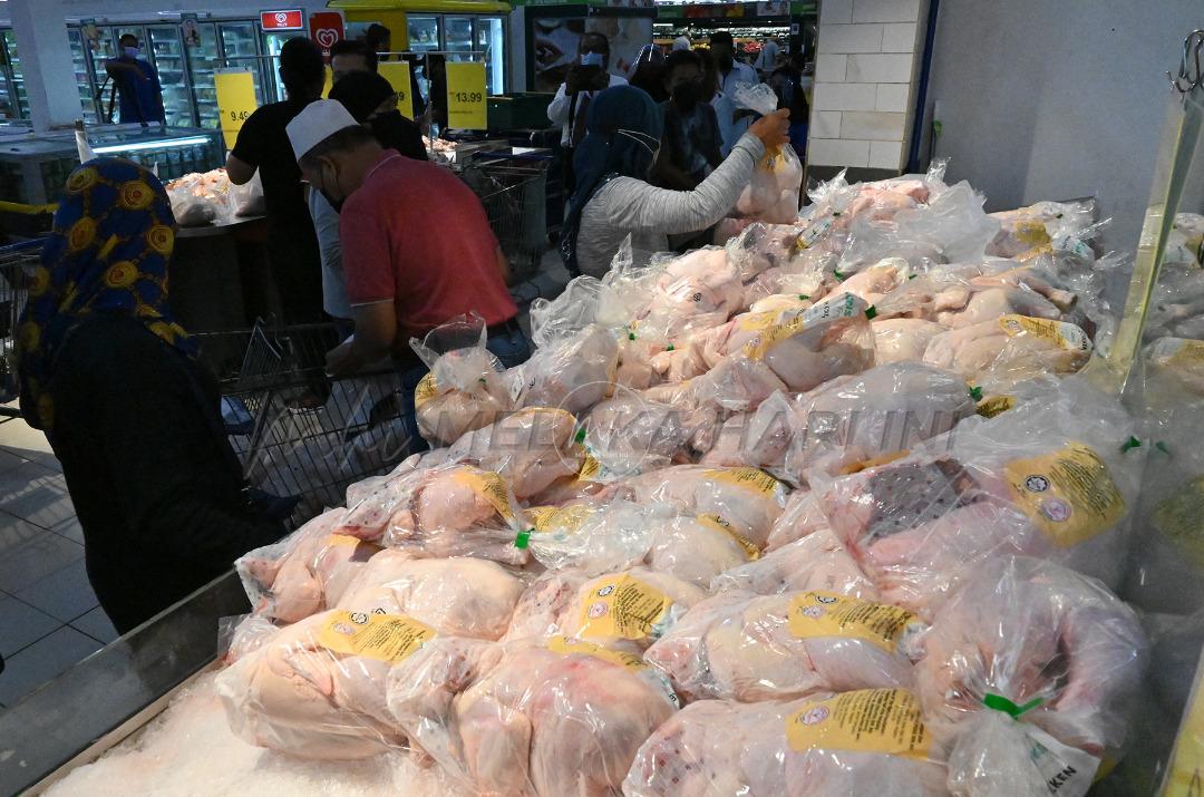 Satu badan khas perlu tangani harga ayam di pasaran