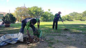 Whatsapp image 2021 09 18 at 11.06.31 am