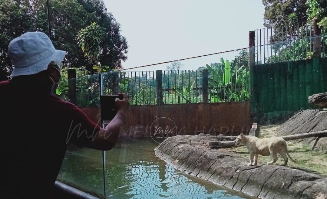 Zoo Melaka disaran tambah baik perkhidmatan