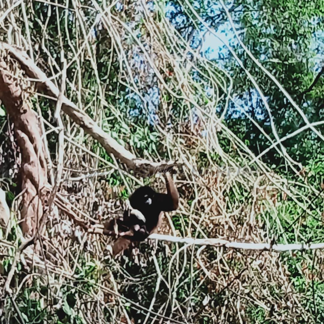 Whatsapp image 2021 09 26 at 19.51.15 (1)