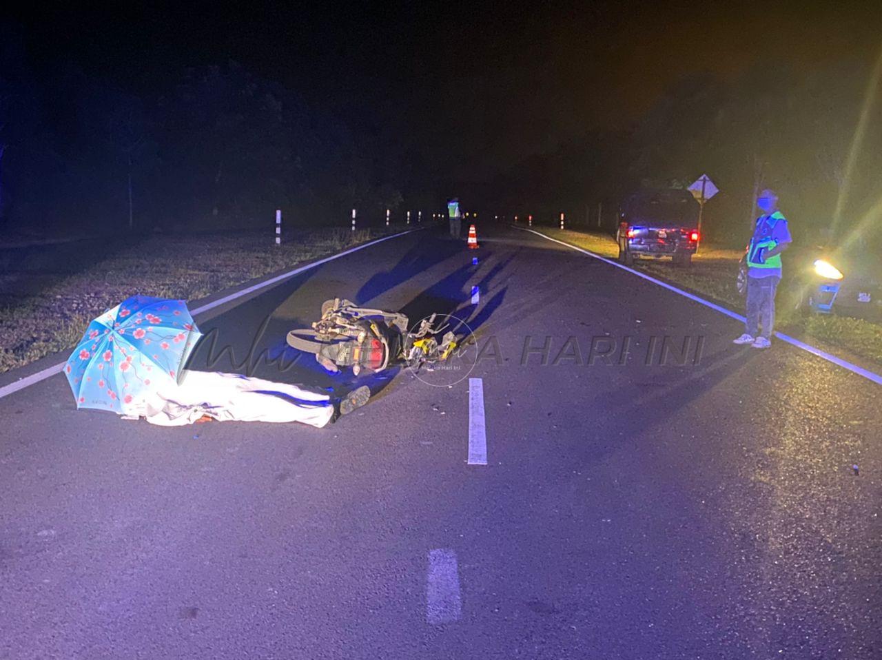 Lelaki maut langgar lembu