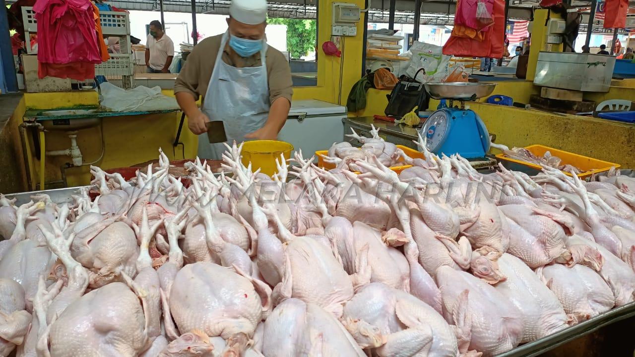 Harga ayam di Melaka mulai turun