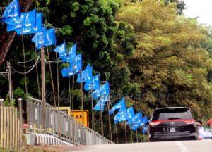 Barisan nasional flag