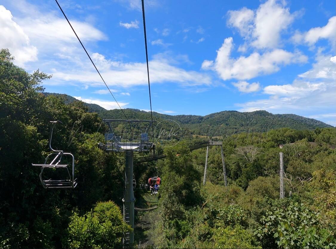 258567136 4484533291623930 1997245936780053352 n