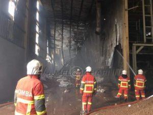 266955913 5184797538216279 3733324869295679429 n