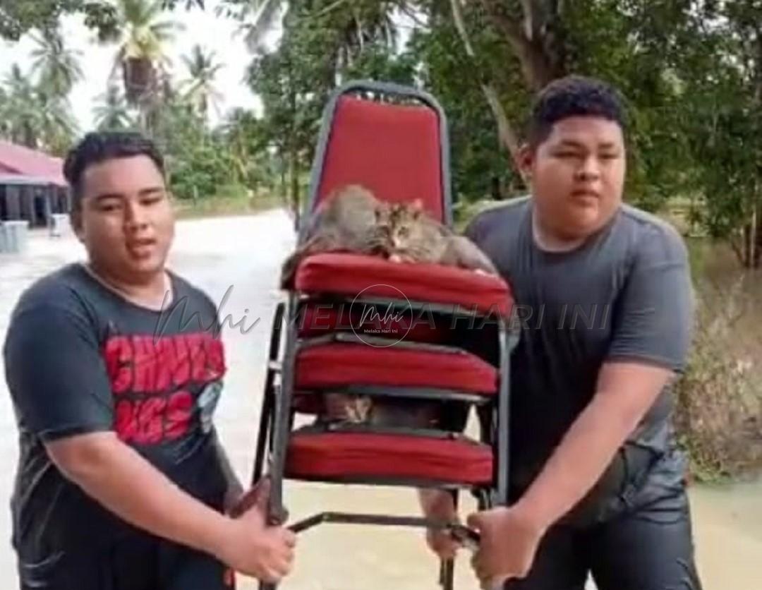 3 (2)