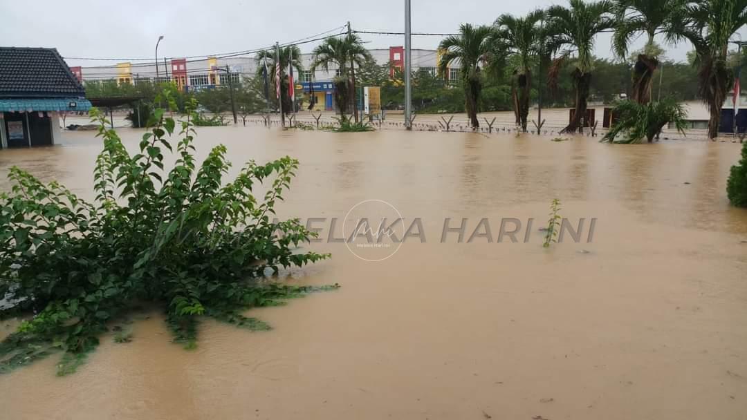 Whatsapp image 2021 12 18 at 10.38.50 am