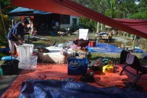 C89639ad ab16 439f 9a5b 1a98f05f8b17