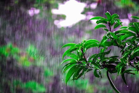 Amaran cuaca waspada dengan hujan lebat di Sabah, Kelantan, Terengganu, Pahang dan Johor