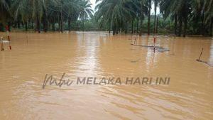 Info banjir kelantan
