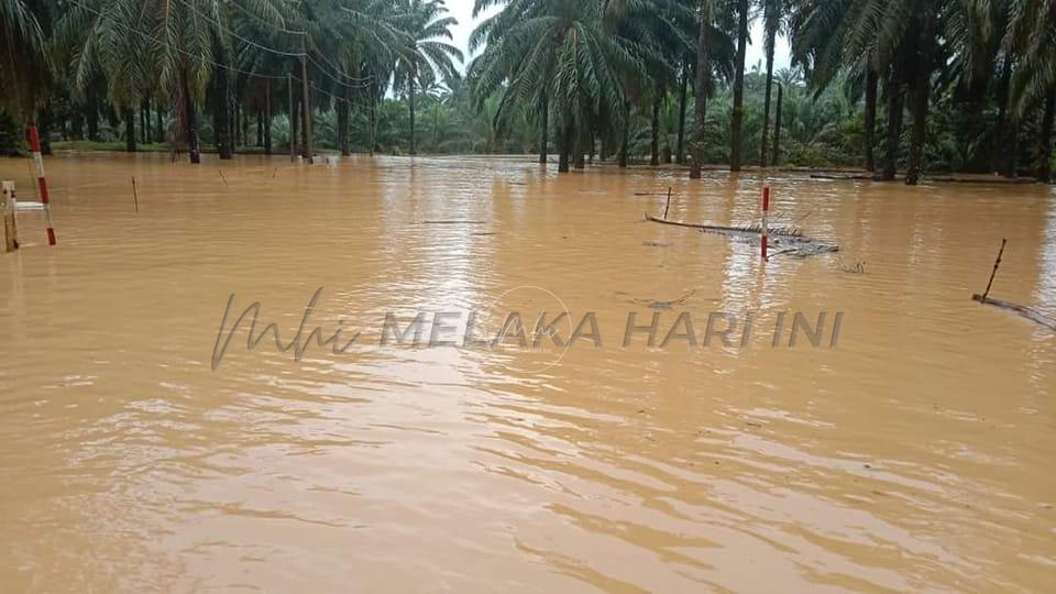 Banjir: Dua PPS dibuka di Gua Musang babitkan 129 mangsa