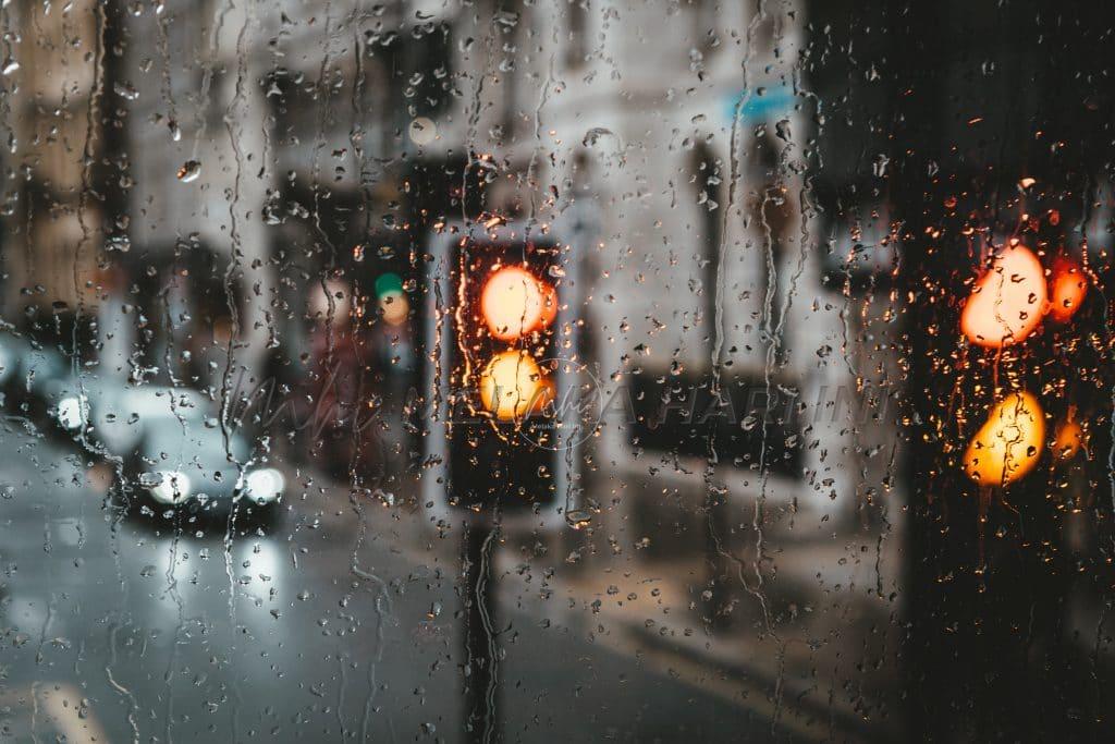 Max van den oetelaar mg8til03jsm unsplash 1024x683