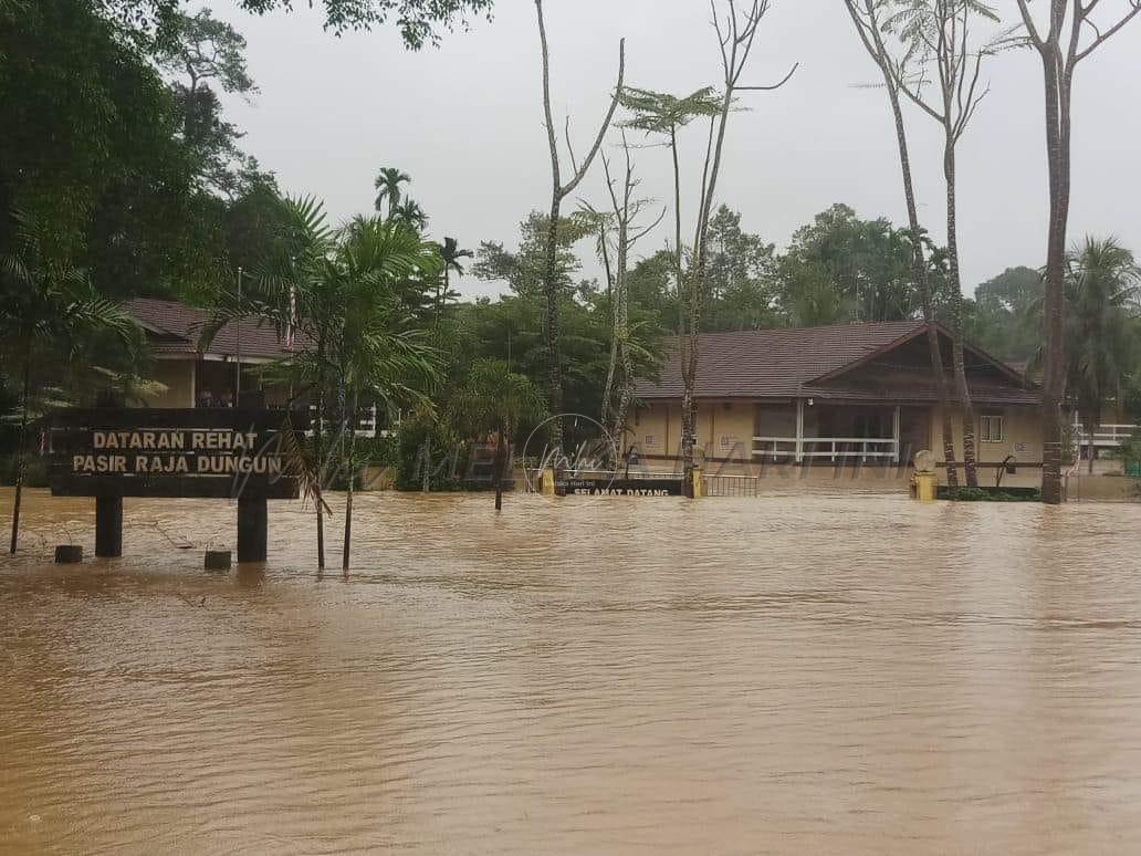 Banjir: Lima pekerja balak berenang 300 meter selamatkan diri