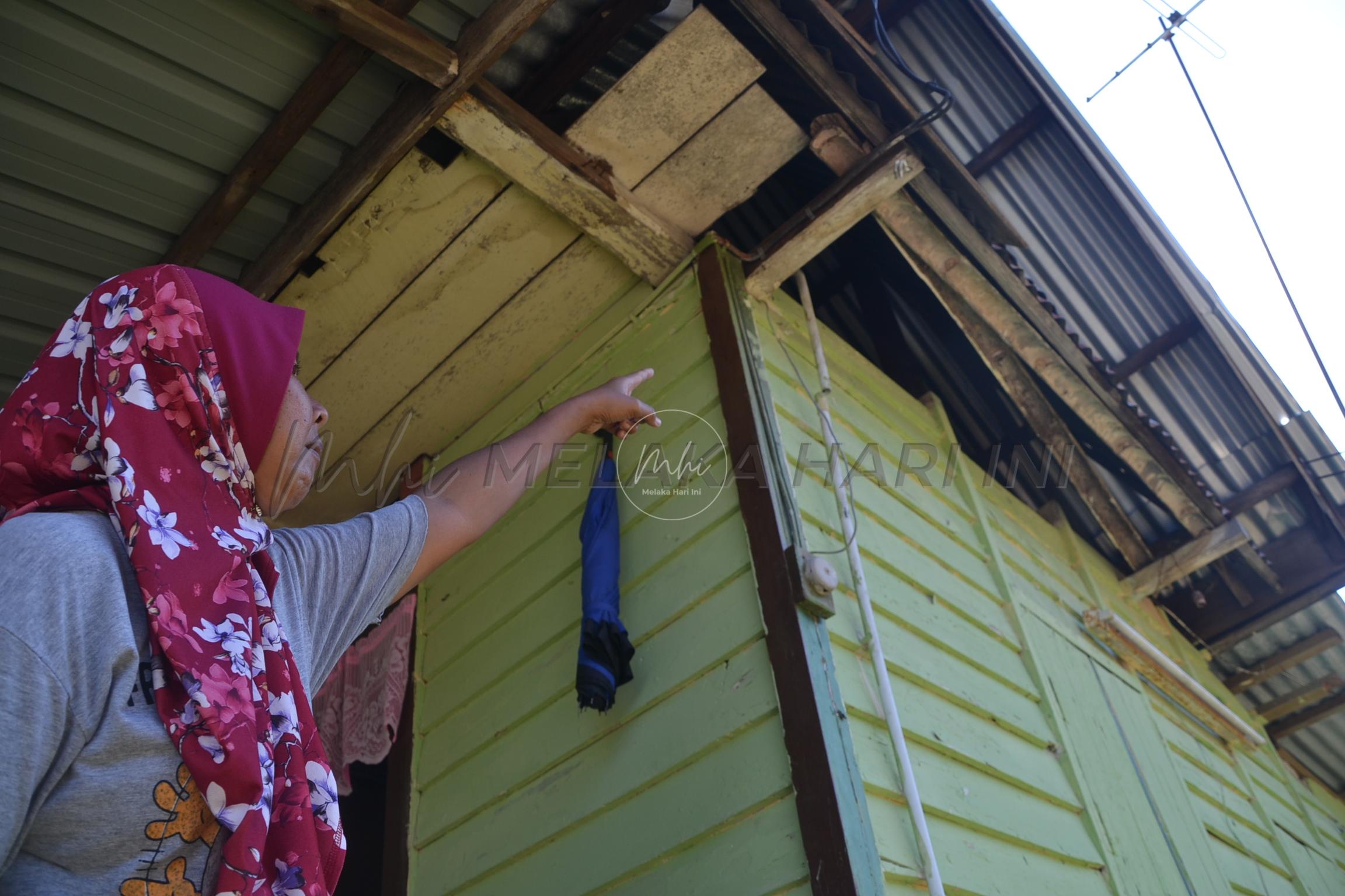 Kerepek pisang sumber rezeki ibu tunggal dirosakkan monyet