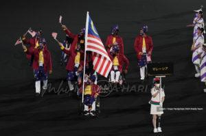 239844601 1858566900987727 8450921632612746798 n