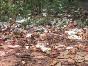 266760393 1888102901362532 1501275874084619731 n