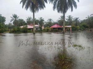 268950409 289639973204290 6741868708522933035 n