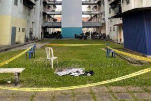 269974962 811327100268303 8857661750925076899 n