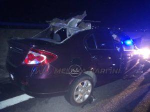 271227282 1129320967878118 3730606994420216526 n