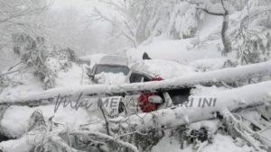 271275835 10158501800367727 8456640340321039332 n